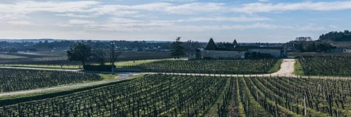 vignoble saint emilion 2 1024x216