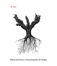 Dominio de Pingus – PSI 2024