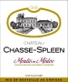 Château Chasse-Spleen 2023